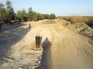 España cuida y mima su patrimonio natural