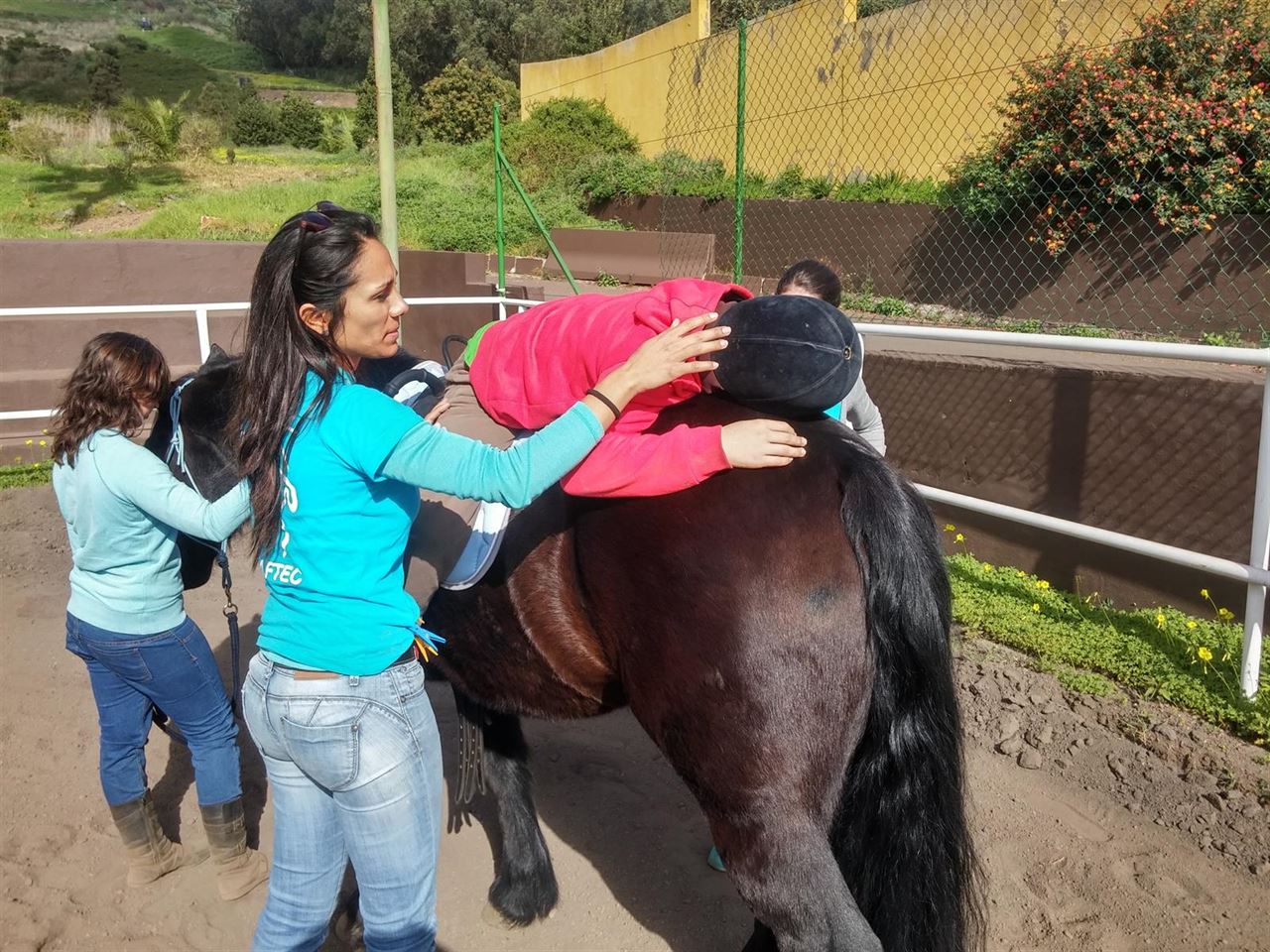 Terapia asistida con caballos en Canarias