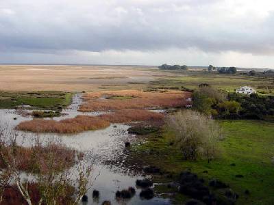 Elaboración de un estudio sobre el medio marino del Espacio Natural de Doñana