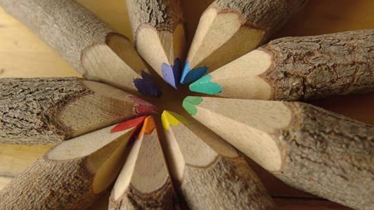 Últimos días para contratar en ECOticias.com el ‘Especial Formación Ambiental 2016’