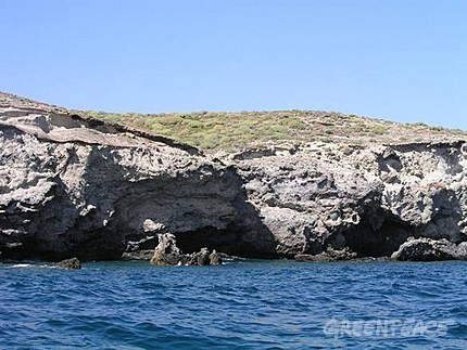 Las organizaciones ecologistas Atan