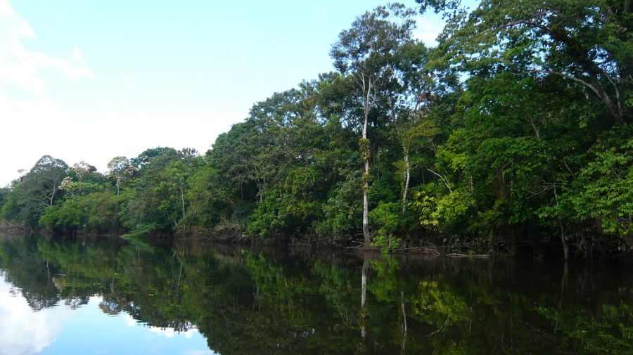 Perú: Instalan equipos en río Amazonas para evaluar los efectos de cambio climático