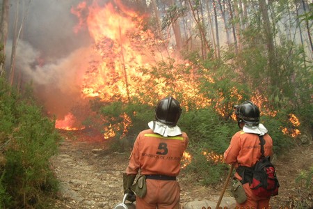 Piden 8 meses de cárcel y multa para el acusado de provocar un incendio forestal en Yernes y Tameza (Asturias)