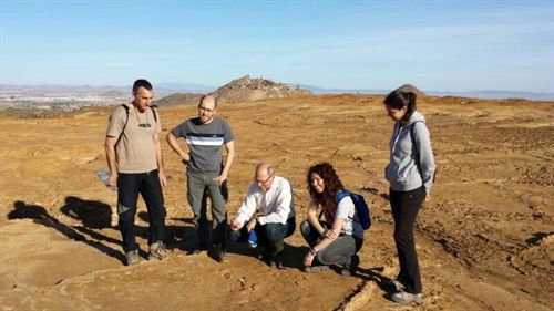 Los efectos del cambio climático en la toxicidad de los suelos