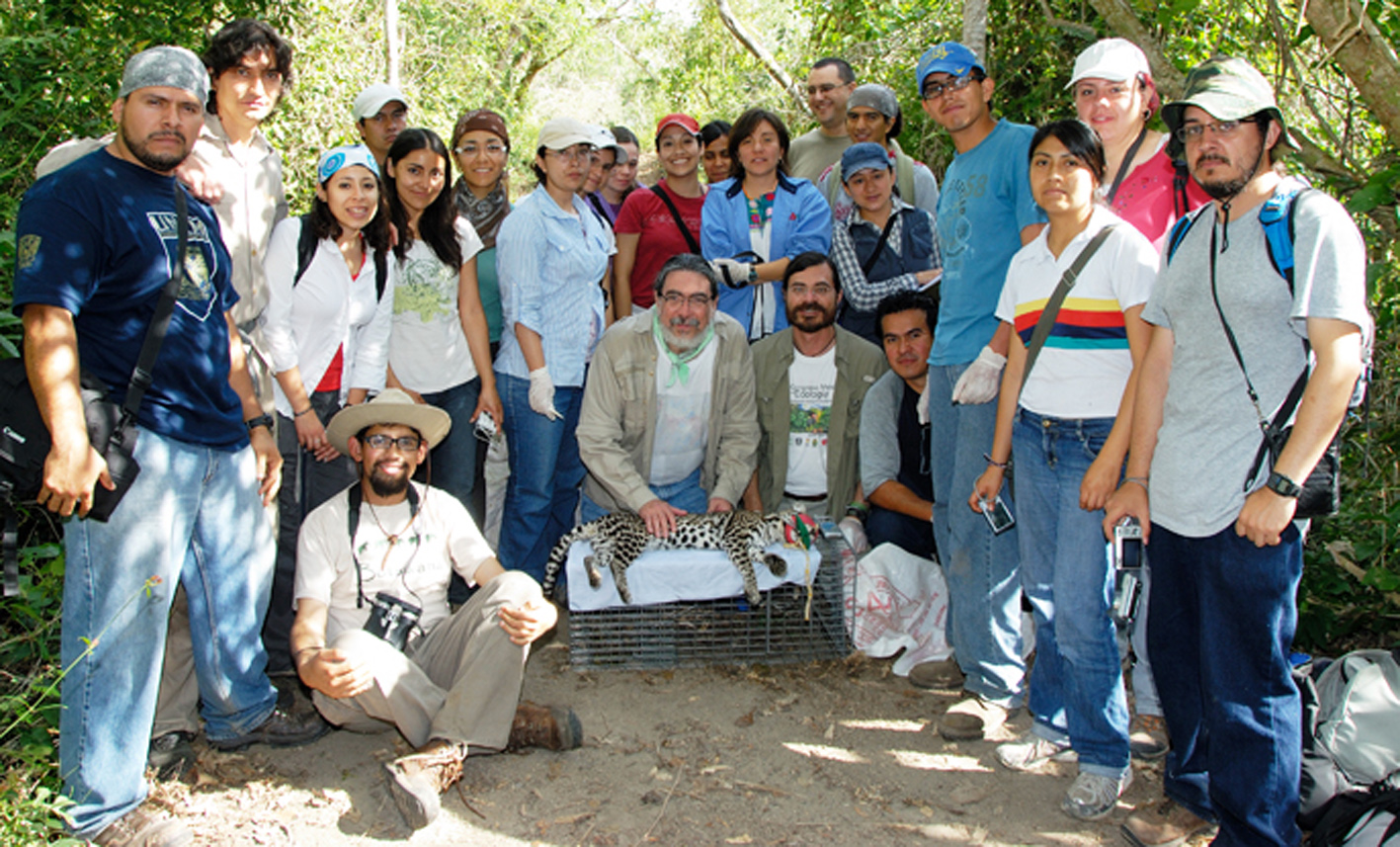 Actividad humana ha puesto en peligro de extinción a 25% de los mamíferos