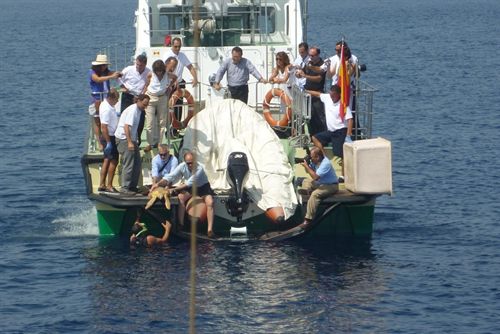 Andalucía libera cinco tortugas bobas tras restablecerse en centros de recuperación de la comunidad