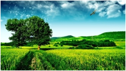 El curso a distancia sobre la gestión del medio ambiente lo imparte ESTEA