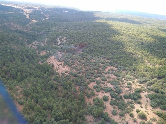 Proyecto GEPRIF sobre la gestión integrada del fuego en masas arboladas