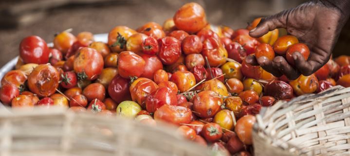 Las acciones locales resultan claves para acabar con el hambre y el desperdicio alimentario