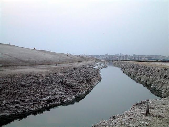 Máxima exigencia en la recuperación de las marismas del Tinto