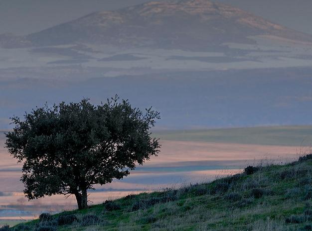 La Diputación Foral de Álava y la Federación Alavesa de Montaña firman un acuerdo de colaboración para mantener limpios los montes del Territorio