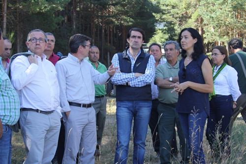 Guadarrama cumple las condiciones ambientales para reintroducir al lince