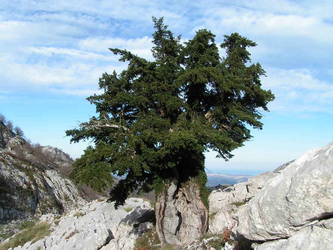 La revista NATURE critica a Europa en materia de conservación