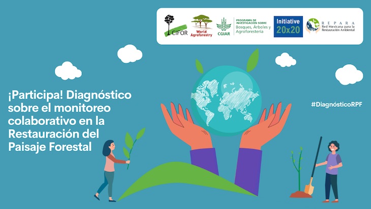 Apúntate a restaurar el Paisaje Forestal