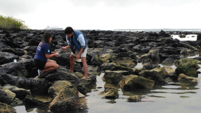 La educación ambiental experimental una alternativa para los jóvenes en Galápagos