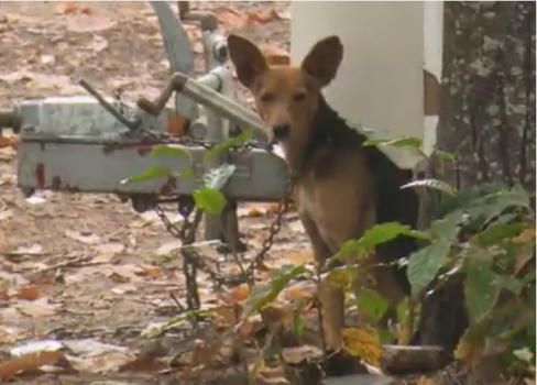 El héroe encadenado