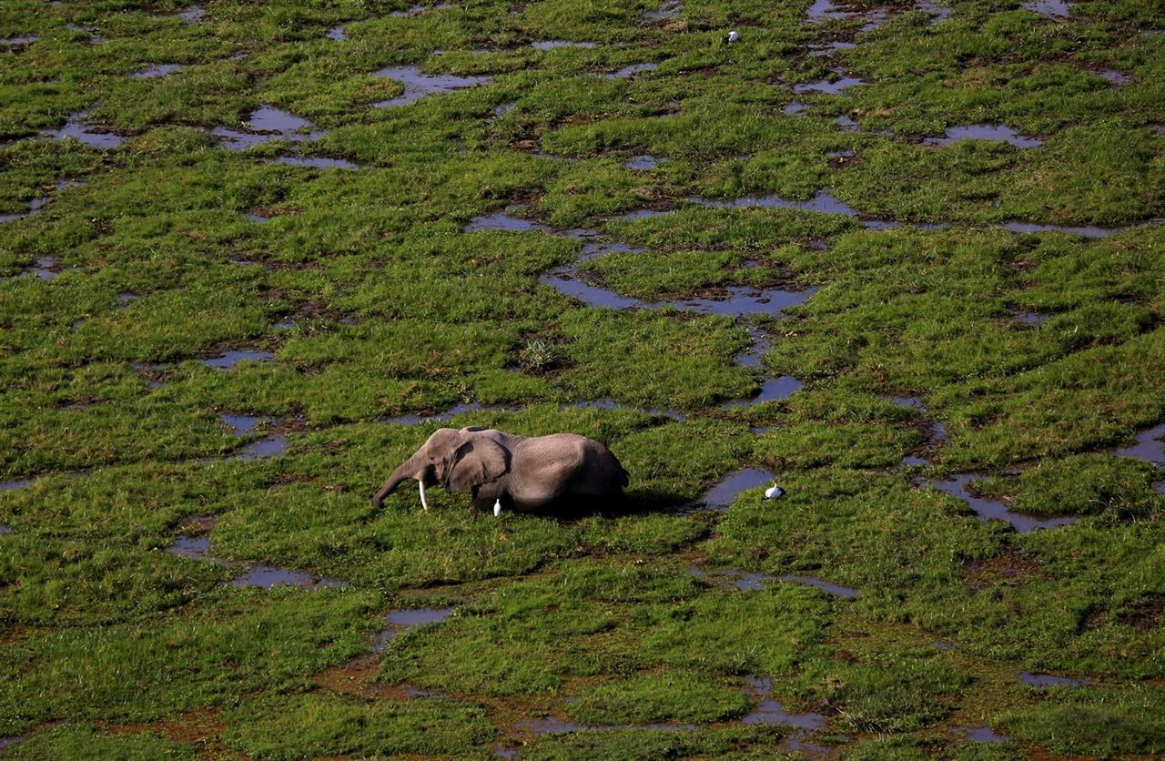 Las imágenes más espectaculares de todos los tiempos sobre el medio ambiente