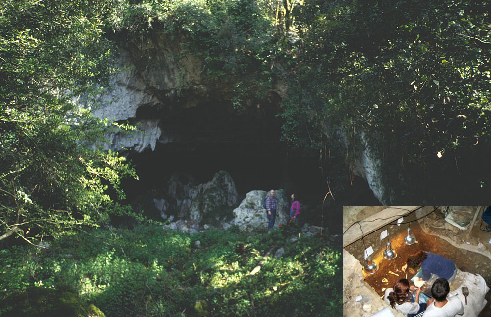 Los primeros agricultores ya empleaban abejas