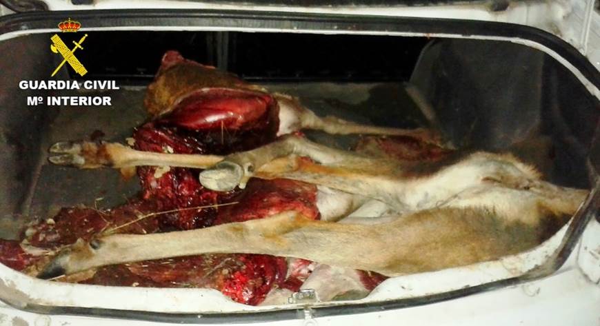 Caza furtiva en Fuencaliente