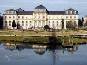 U.N. climate pact could be three treaties – Mexico