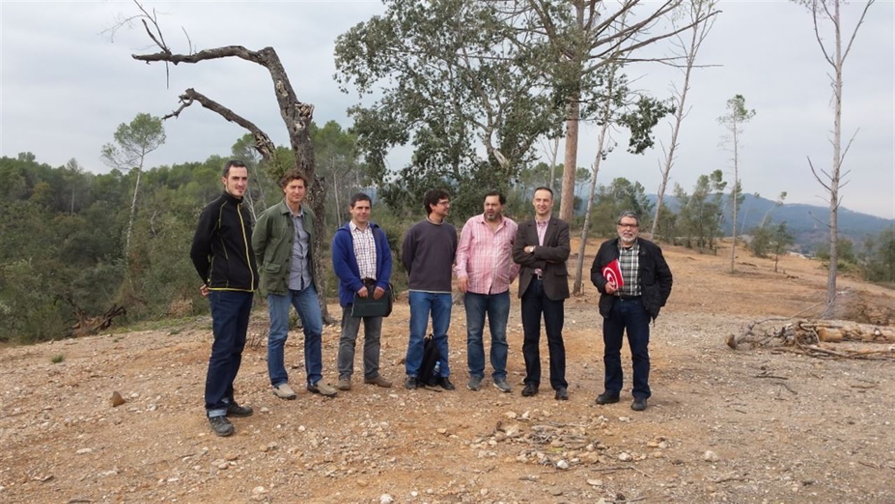 El bosque de Can Deu de Sabadell prepara la regeneración forestal tras el temporal que tumbó 45.000 ejemplares