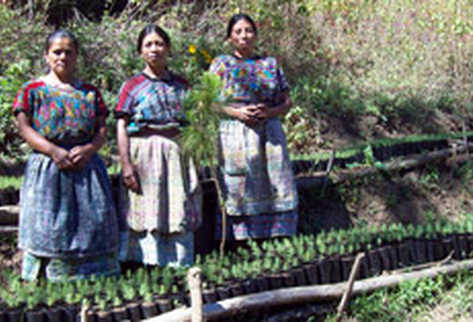 La ONU premia proyectos medioambientales guatemaltecos