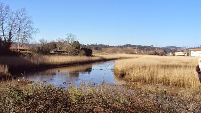 Descartado el deslinde en la Marisma de Micedo en Cantabria