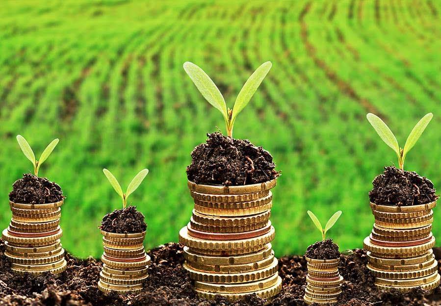 El G77 y China exigen avances en la financiación climática