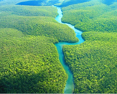 Deforestación ‘0’ en Brasil