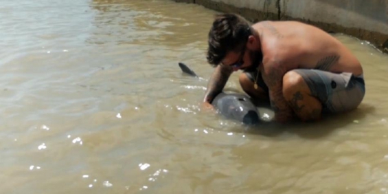 Florida: Tras el paso de Irma