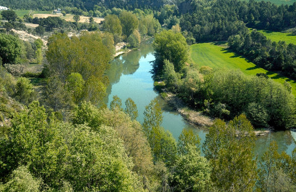 Se presenta el Plan Director para la restauración de los espacios fluviales del Bages