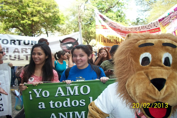 Venezuela: ONG´s exigen una nueva y mejor ordenanza para proteger a los animales