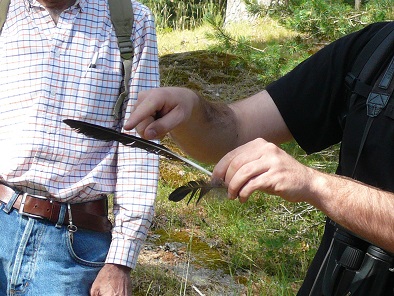 La excursión didáctica “Huellas