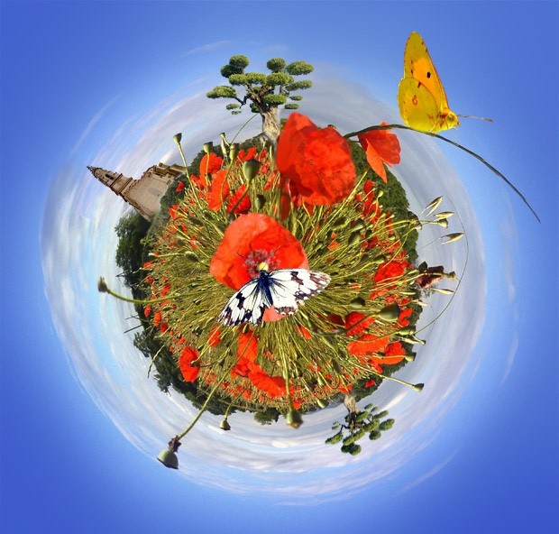 ¡Convocatoria abierta para el Doctorado en medicina de conservación!