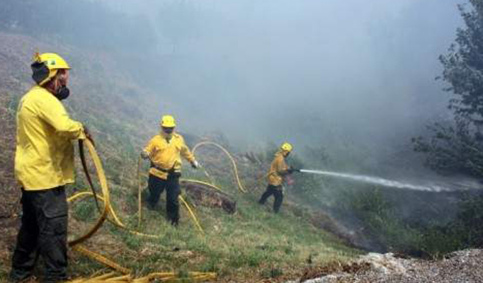 454 incendios forestales ‘provocados’ en Andalucía