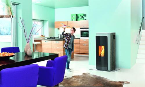 El sector de la ‘biomasa’ se prepara para nuevos reglamentos europeos de Ecoetiquetado y Ecodiseño