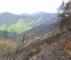 La Coordinadora Ecoloxista d’Asturies lamenta la sentencia absolutoria del Juzgado de lo Penal nº1 de Avilés por el incendio que arrasó 1.616