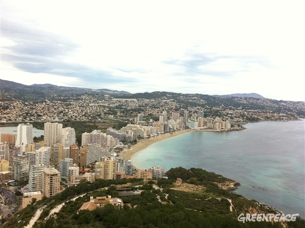 Tuiteracción/ Una nueva especie en nuestra costa: el pez ladrillo