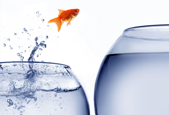 Jornada gratuita de Coaching y Branding Personal