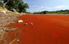 Río Negro teñido de rojo: Aguardan resultados del muestreo