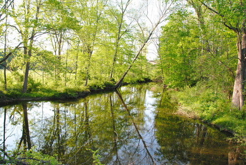 Los efectos del calentamiento global en los microorganismos del suelo dependen de la deposición atmosférica de nitrógeno