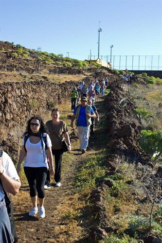 Islas Canarias. Abierta la inscripción en la ruta de peregrinación por el Camino Viejo de Candelaria (Tenerife)