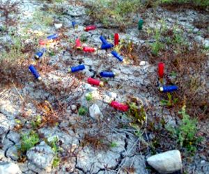 Baena. Denuncian la caza y molestias a las aves acuáticas en laguna de Casasola