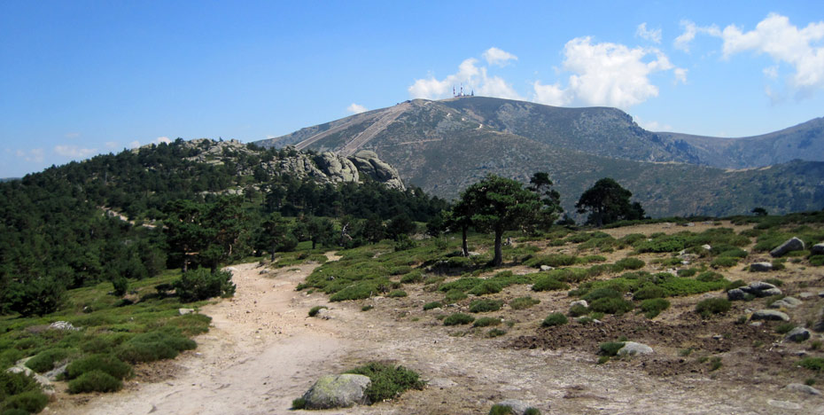 La Fundación Patrimonio Natural organiza este lunes y martes sendas guiadas a través de la Sierra de Guadarrama