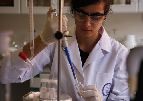 Revolucionario sistema de pinturas para aviones más ecológico