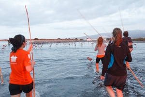 Cataluña. Éxito en el anillamiento de flamencos en el Parque Natural del Delta del Ebro