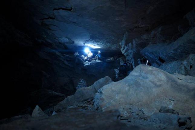 Encuentran en Peal de Becerro el único pez de Europa adaptado a vivir en cuevas