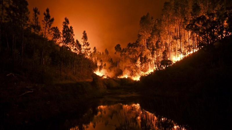 Por qué hay Super incendios forestales en todo el planeta