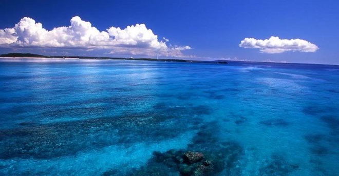 Cómo afectará el cambio climático al medio ambiente marino