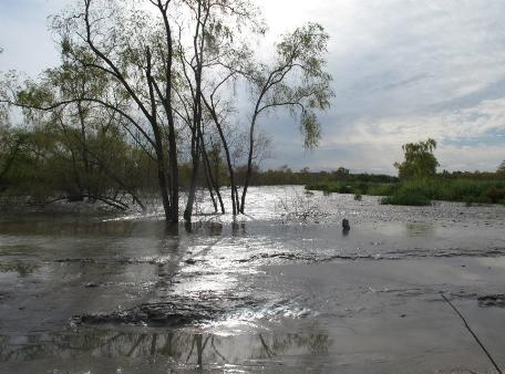 Jornadas en la Isla Paulino para proteger el humedal